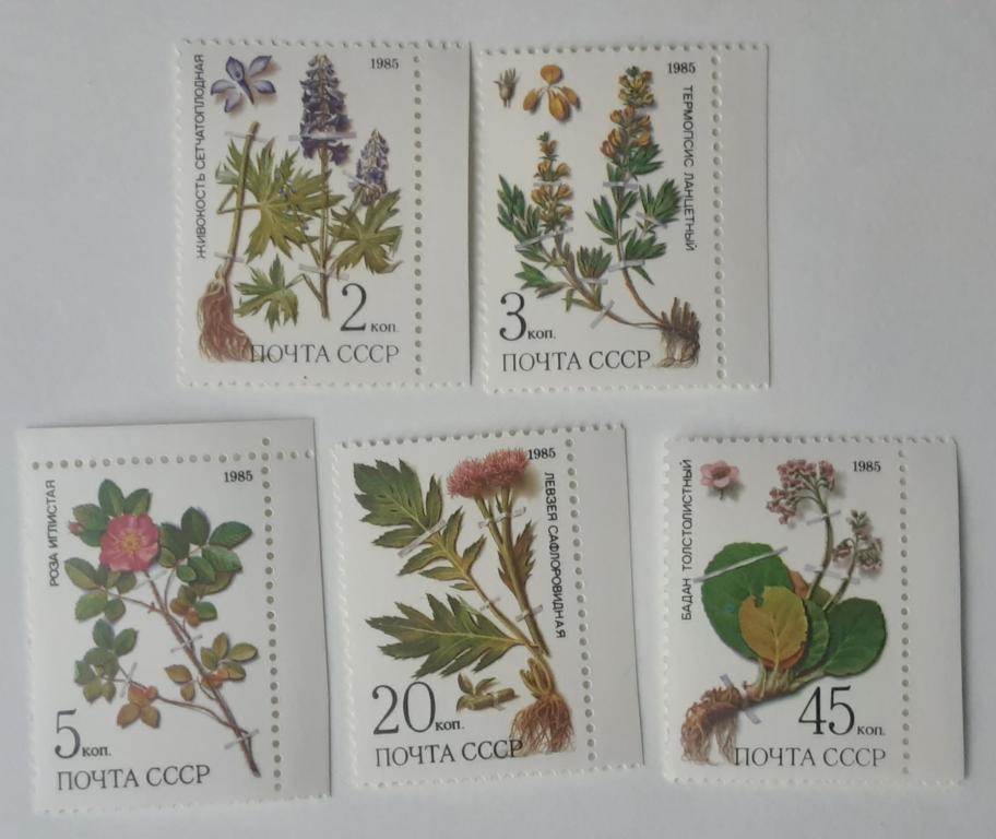 СССР 1985г.Лекарственные растения Сибири 5580**-5584**.