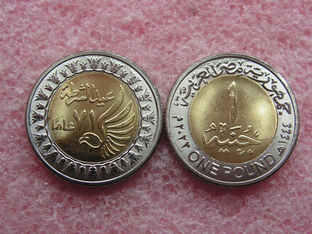 Египет 1 фунт 2023 полиция 71 лет unc