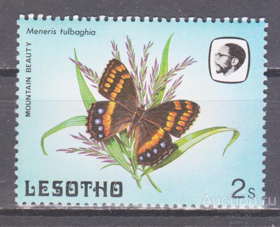 Лесото 1984 бабочка Mi443 MNH