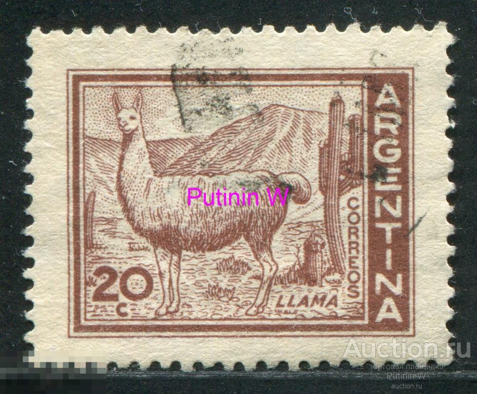 АРГЕНТИНА - 1961 - Mi # 763 - ЛАМА 