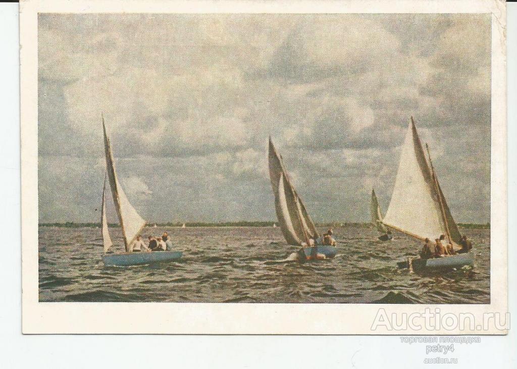 21513. Ленинград. Яхты на Финском заливе.