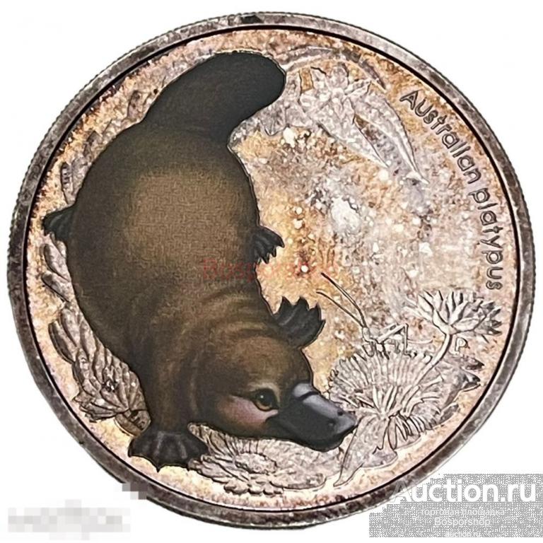 Австралия 50 центов 2013 г. (Детеныши буша - Утконос) (Proof) 