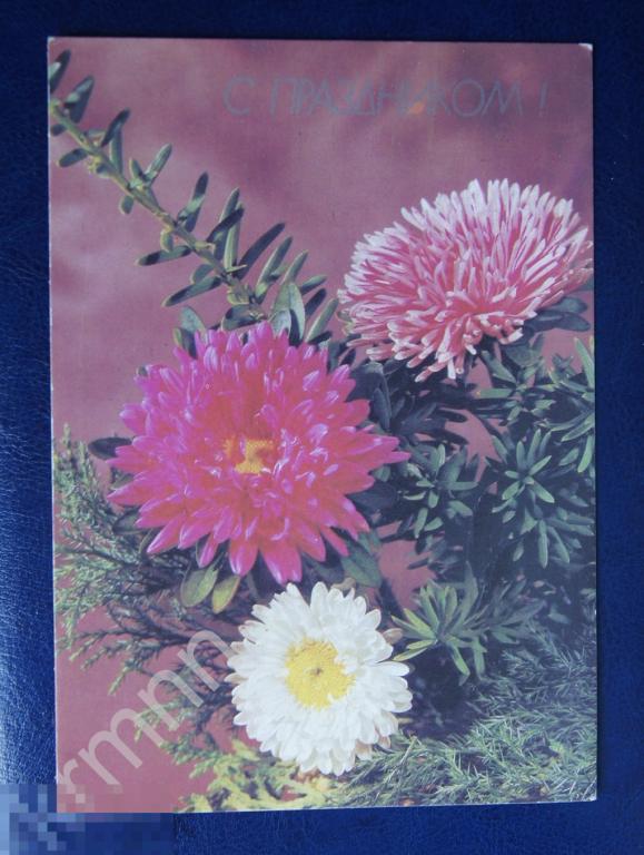 С Праздником чистая  (Круцко)3 К6 