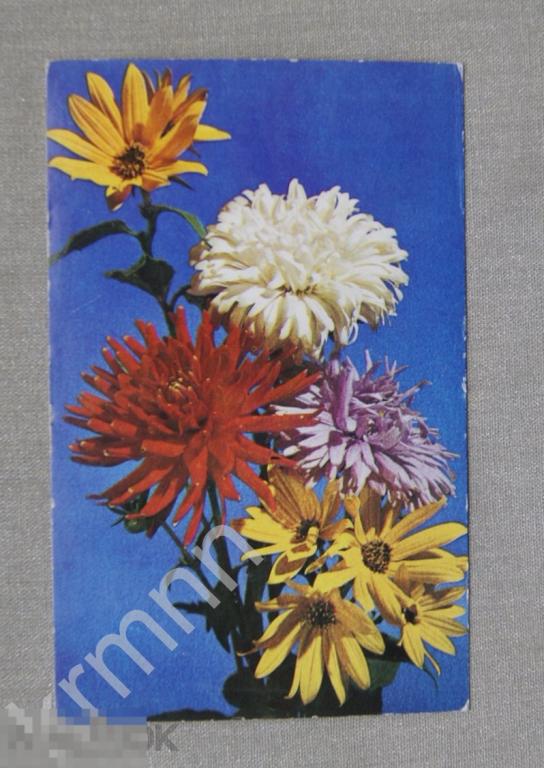 Комбинация из цветов чистая (Столярова) К71 