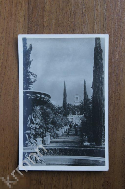 Сочи. Дендрарий. Лестница на верхнюю терассу. 