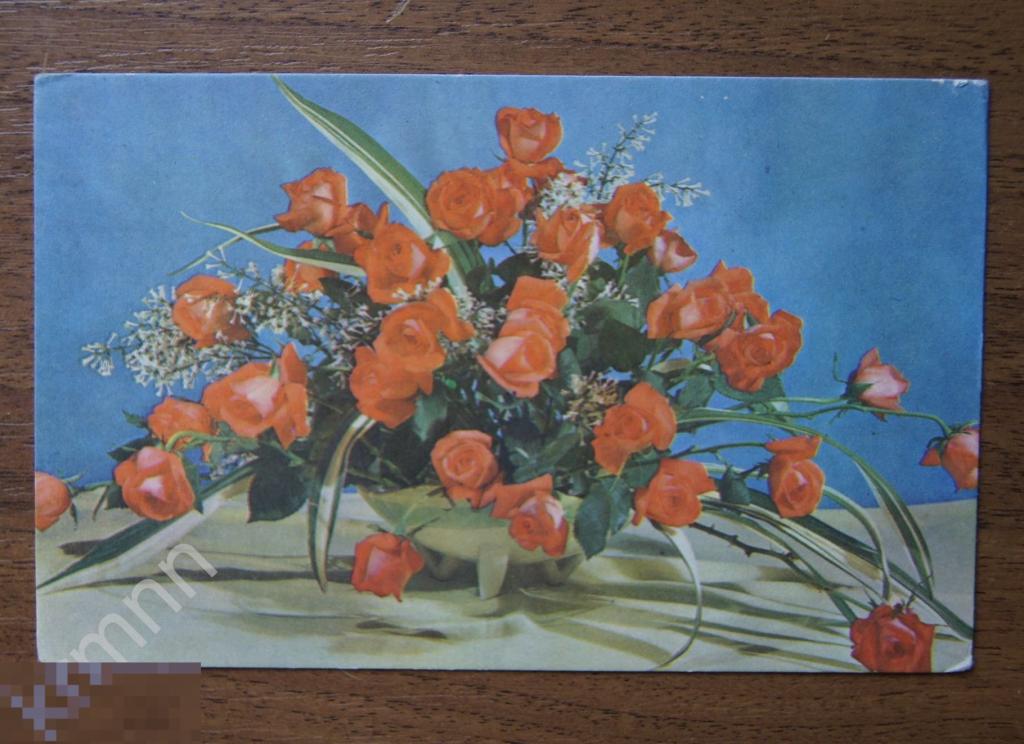 Открытка Букет роз (чистая) К185 