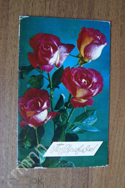 Открытка. Поздравляю Чистая Костенко  К207 