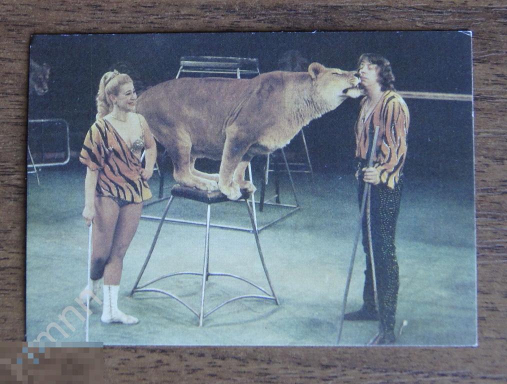 Календарик карманный. Цирк. Советский цирк 5 1988 год ПК11/3 