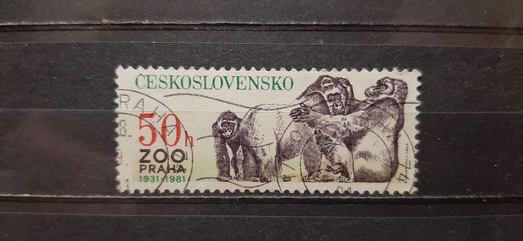Чехословакия ЧССР 50 лет Пражскому зоопарку горилла 1981 гашёная