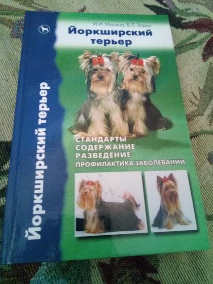 Манина И Йоркширский терьер. Стандарты. Содержание. Разведение. Профилактика заболеваний