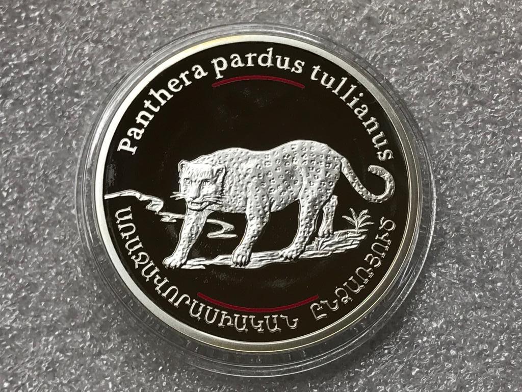 Армения 100 драм 2007 Анатолийский леопард / Пантера Красная книга Серебро ПРУФ