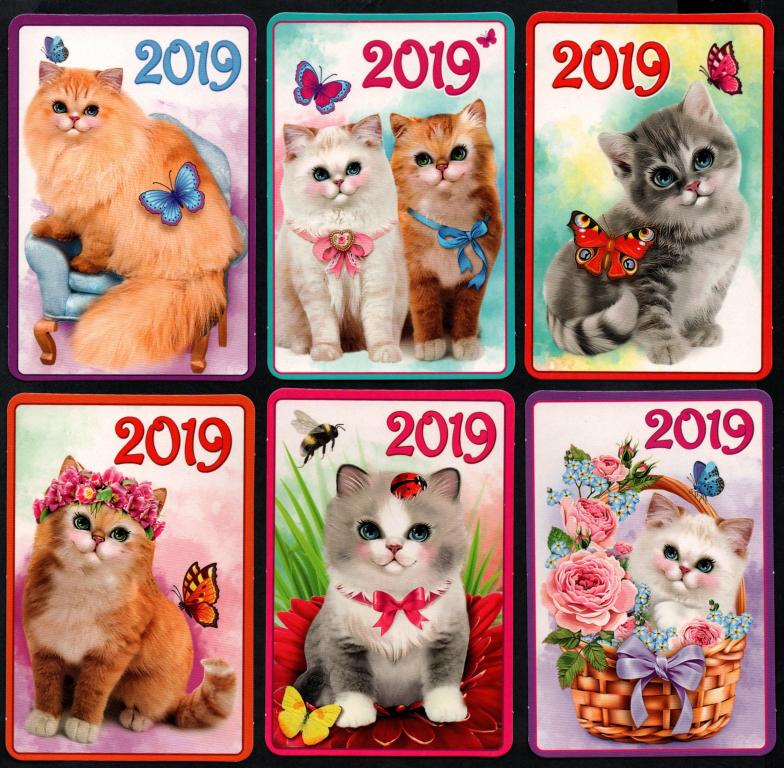 КК кошки, котята 2019 набор 6 шт