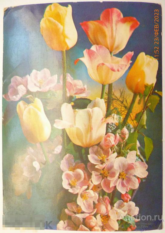 Открытки СССР. Фото Г.Костенко 1976г. 