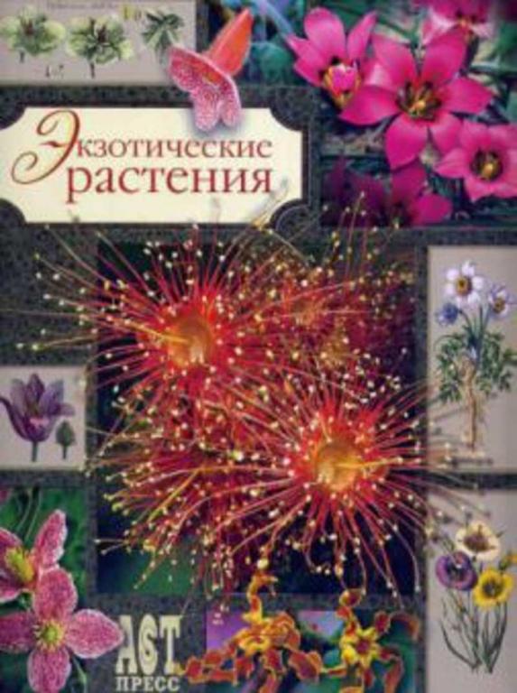 #655787 Миулан Патрик, Деска Арно Экзотические растения