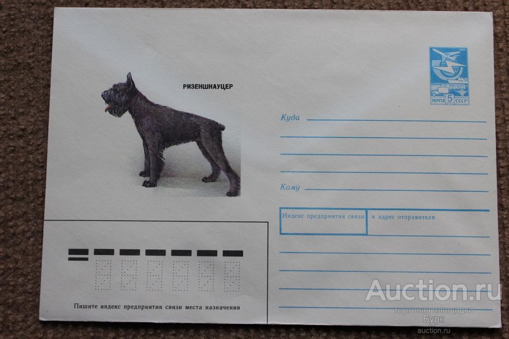 ХМК СССР 1989 Борисова Ризеншнауцер фауна собака