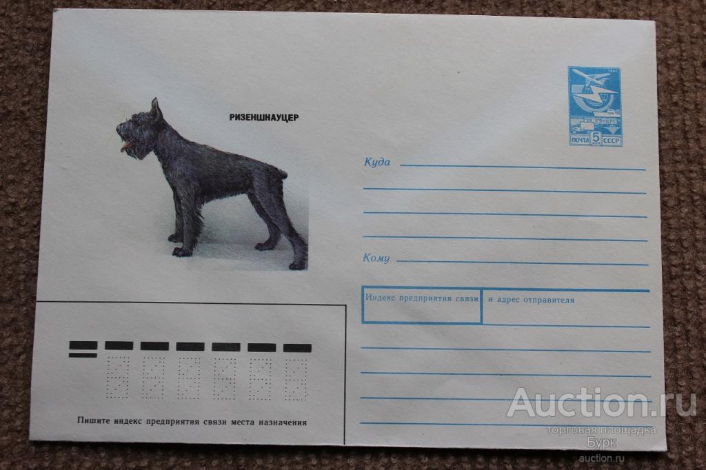 ХМК СССР 1989 Борисова Ризеншнауцер фауна собака