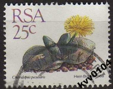 А.39 ЮЖНАЯ АФРИКА 1988 ФЛОРА ЦВЕТЫ КАМЕННЫЙ ЦВЕТОК 