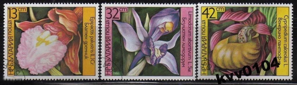 2. ОРХИДЕИ ЦВЕТЫ БОЛГАРИЯ СМ.ОПИСАНИЕ