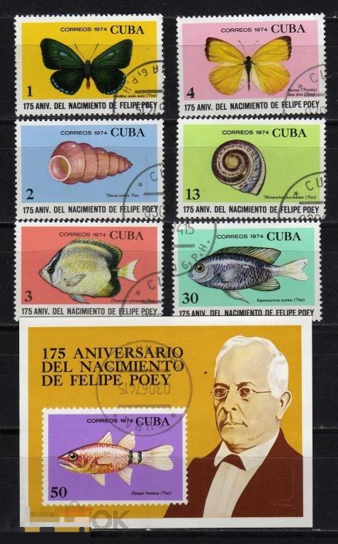 КУБА 1974 РЫБЫ РАКУШКИ РАКОВИНЫ БАБОЧКИ МОРЕ 