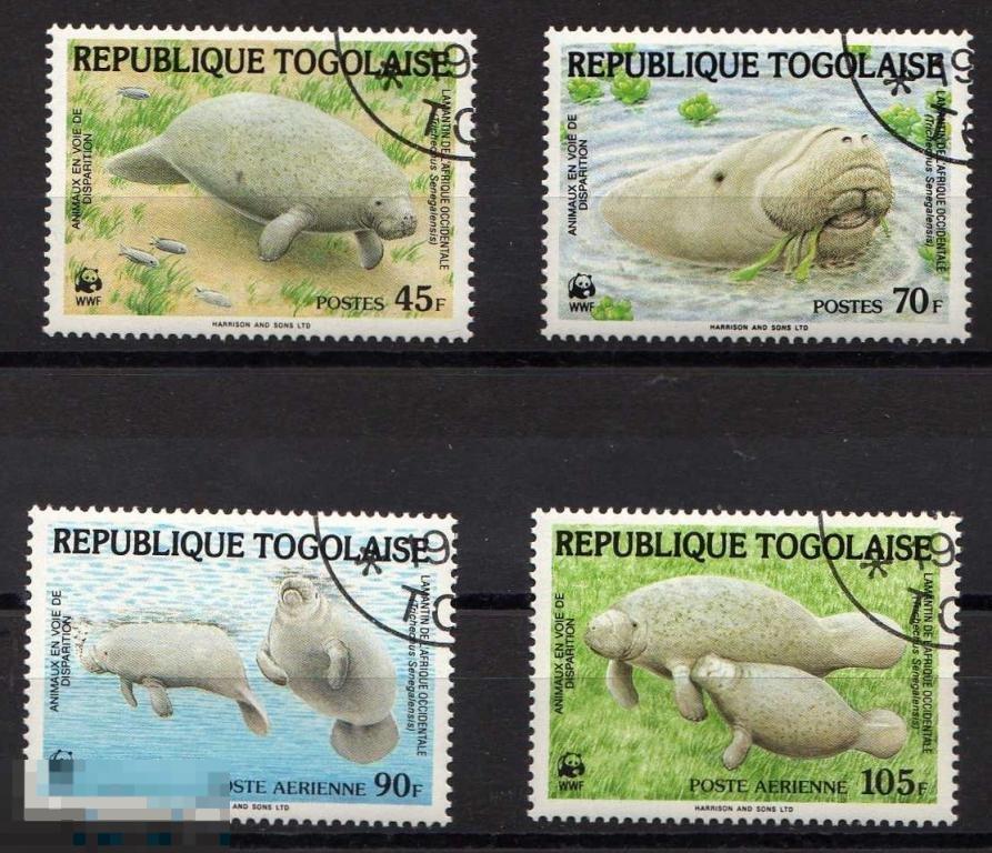 ТОГО 1984 МОРСКИЕ КОРОВЫ ЛАМАНТИНЫ МОРЕ 