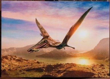 ДИНОЗАВРЫ ДОИСТОРИЧЕСКИЕ ЖИВОТНЫЕ Птеродактиль-2 