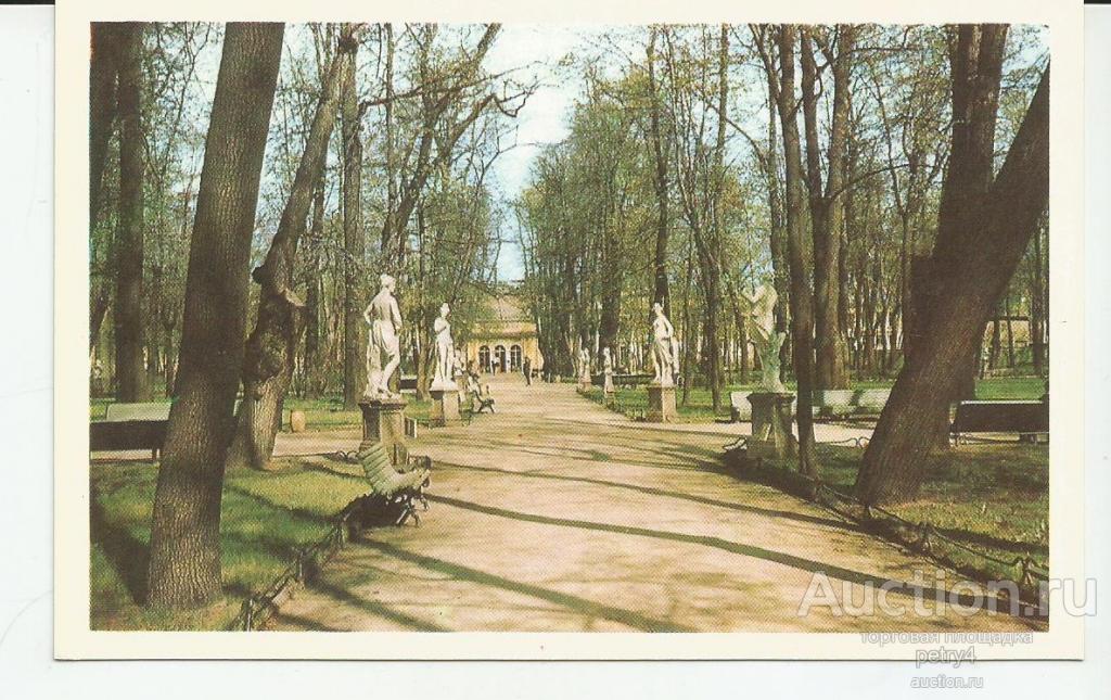 21667.Ленинград.Летний сад. В аллее.