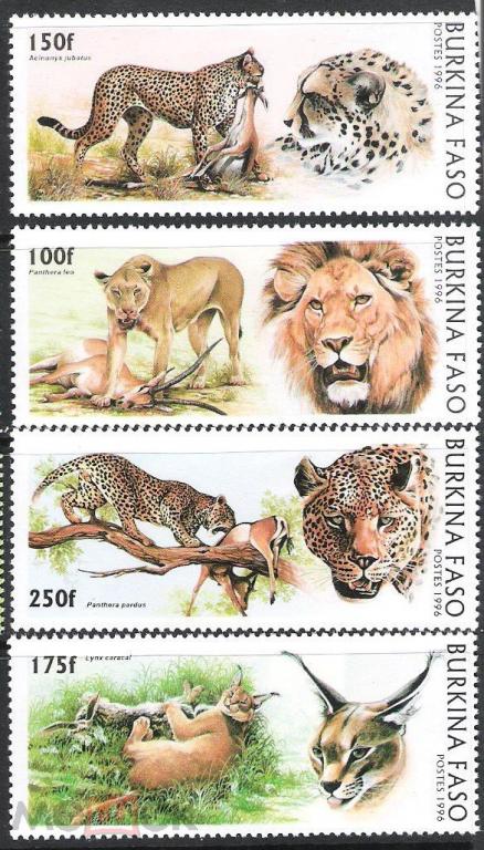 Буркино-Фасо,1996,Ми-1437-40**Фауна:дикие кошки