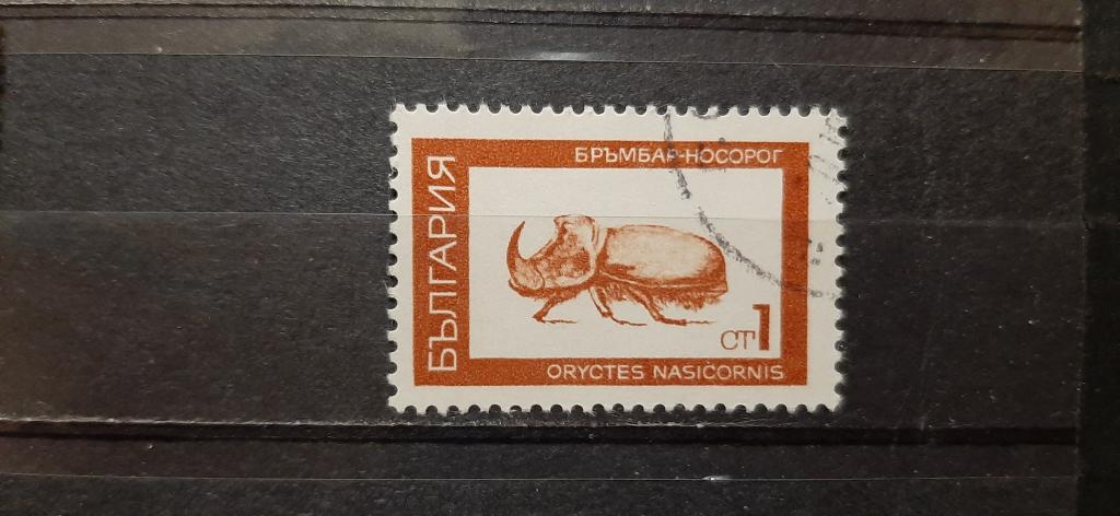 Болгария насекомые жук носорог 1968 гашёная