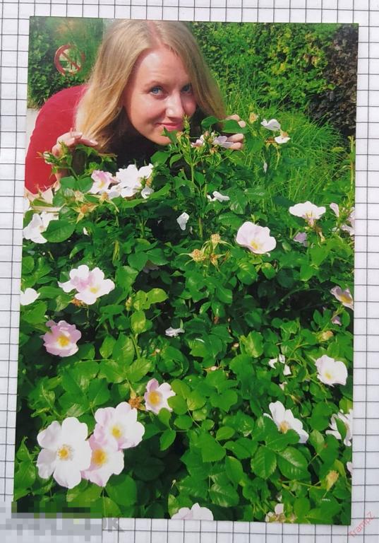 Фотография цветная девушка в цветах шиповника #60* 