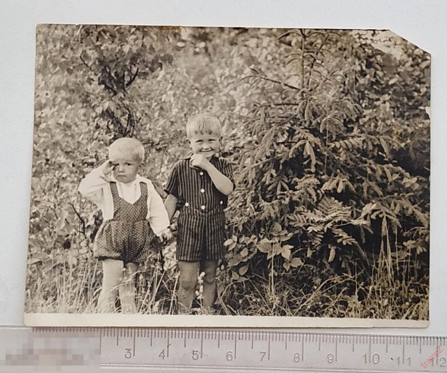 Фотография дети мальчики, одежда мода шорты #78* 