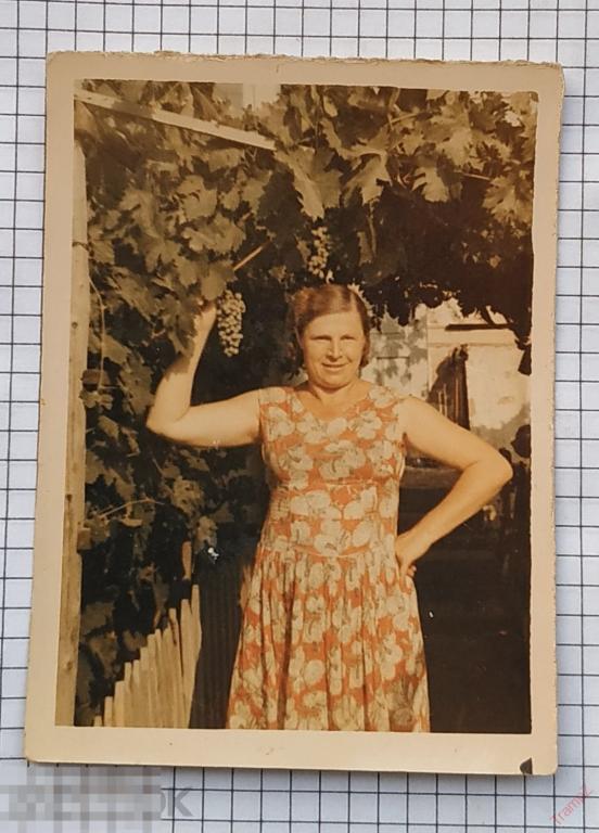 Фотография цветная женщина в платье, мода прическа, виноград #67 