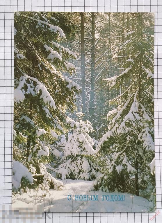 Открытка С новым годом. зима ели лес. Богданов #7* 