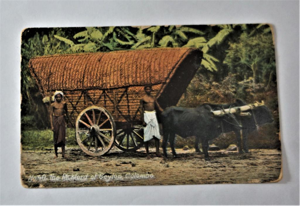 Открытка. Коломбо столица Британской колонии Цейлон. До 1917 г. (о-20)