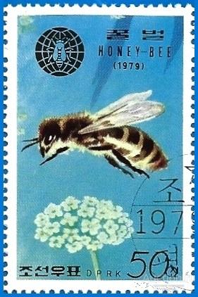 КНДР 1979 MiNr 1931. Пчелы (0.4 € / 0.3 $) Гаш.