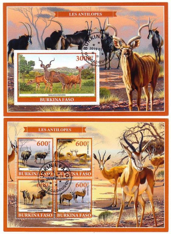 Буркина-Фасо (Верхняя Вольта) 2019 фауна  антилопы