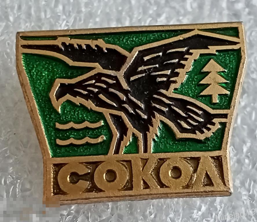 Значок Сокол 