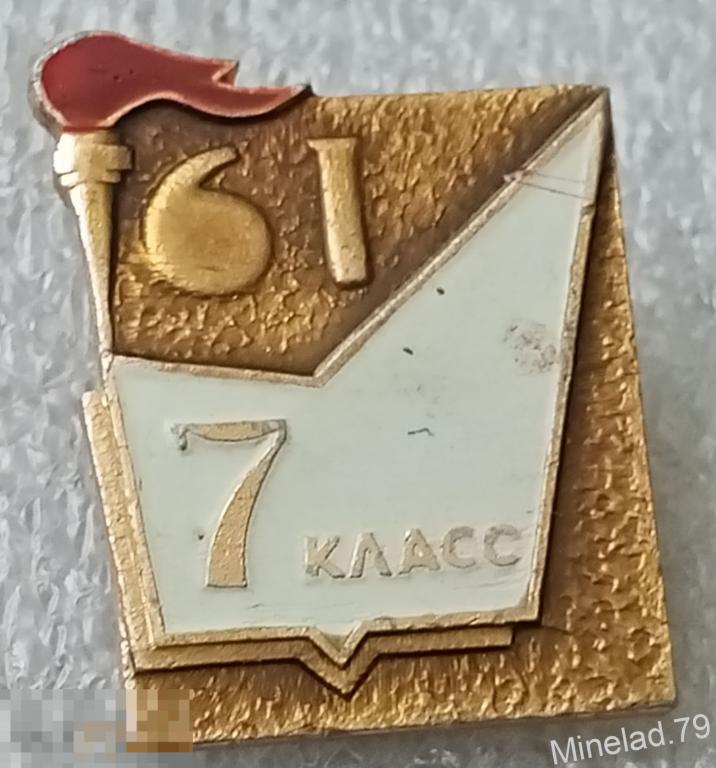 Значок 7 класс 