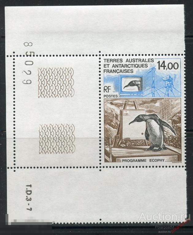 Y45 ТААФ 1993 307 Исследовательская программа ECOPHY. Птицы. Пингвины 