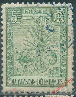 MG10 Мадагаскар 1903 62 Дерево путешественника, Зебу и Лемур 