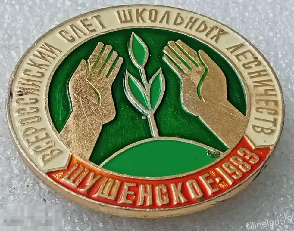 Значок Шушенское