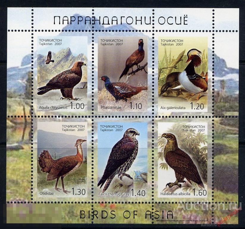 ГО23 Таджикистан 2007 470-475 (BL.48) Птицы 