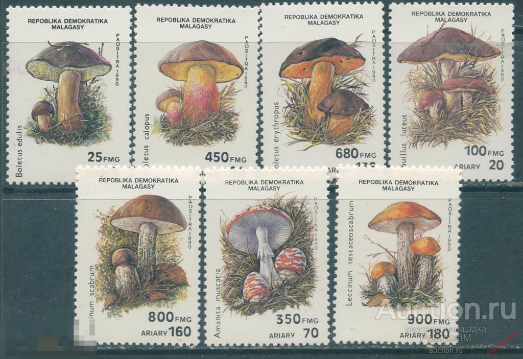 MG10 Мадагаскар 1990 1288-1294 Грибы. Флора 
