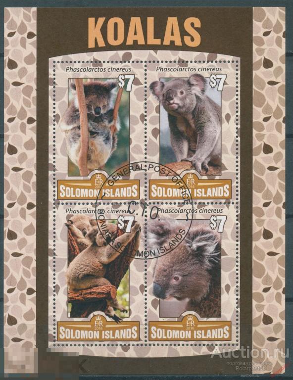 Соломоновы острова 2016 SO000 Фауна - Коала 