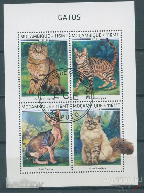 МОЗАМБИК 2018 М002 Фауна. Домашние кошки 