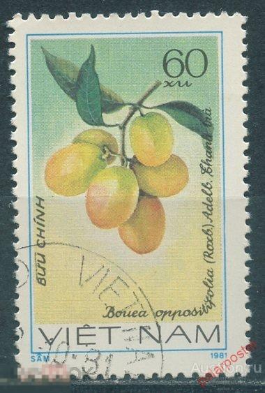 MG10 ВЬЕТНАМ 1981 1185 Фрукты. Флора. Растения 