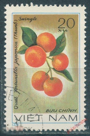 MG10 ВЬЕТНАМ 1981 1180 Фрукты. Флора. Растения 