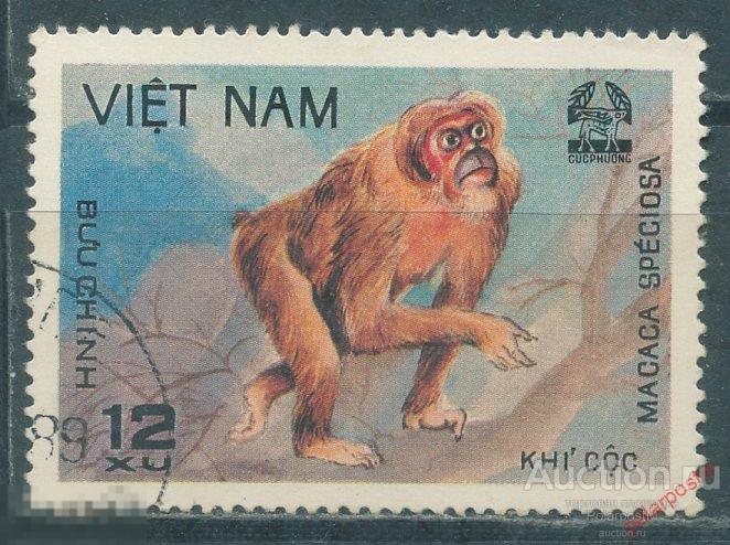 MG10 ВЬЕТНАМ 1981 1155 Животные. Фауна. Дикие кошки. Приматы. Кабаны 