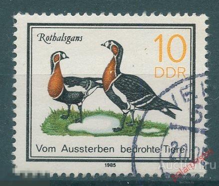 Y85 ГДР 1985 2953. ПТИЦЫ. 