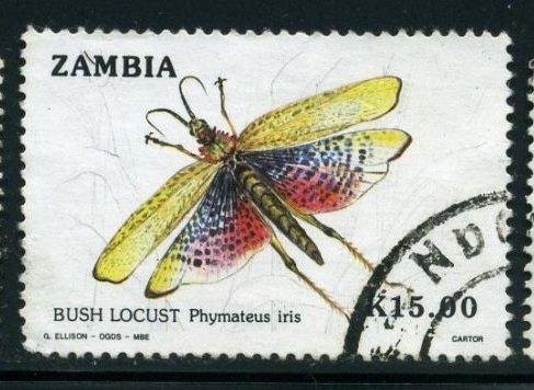 Замбия 1989 год Фауна Насекомые  Кузнечик (Phymateus iris) Гаш