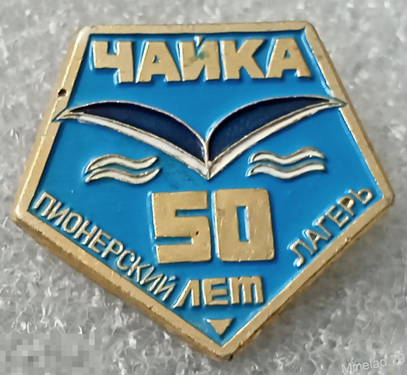 Значок Пионерский лагерь 